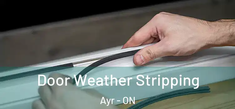 Door Weather Stripping Ayr - ON