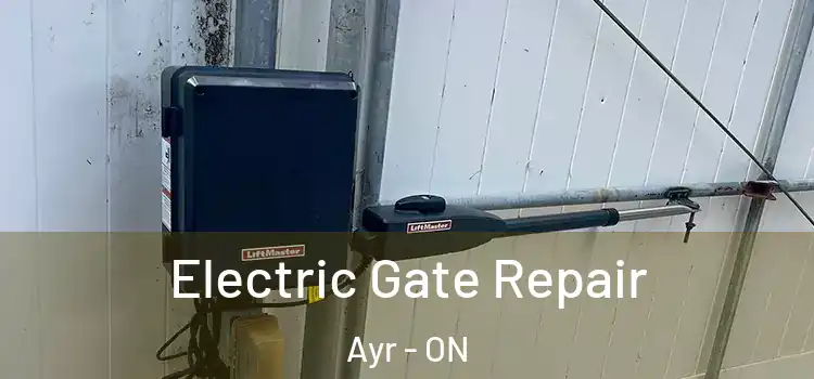 Electric Gate Repair Ayr - ON