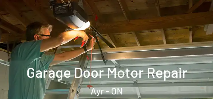  Garage Door Motor Repair Ayr - ON