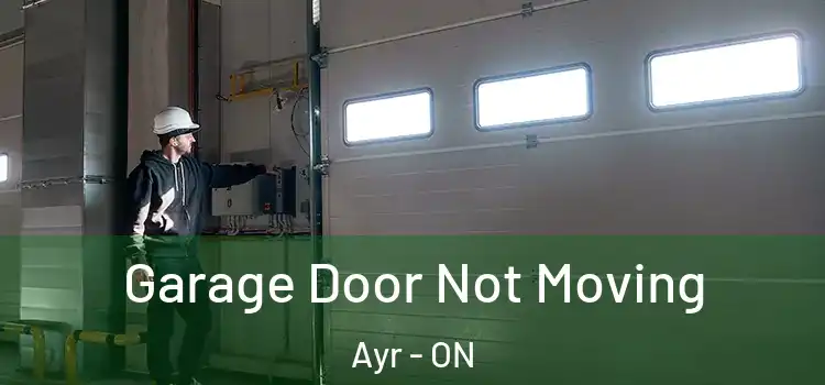  Garage Door Not Moving Ayr - ON