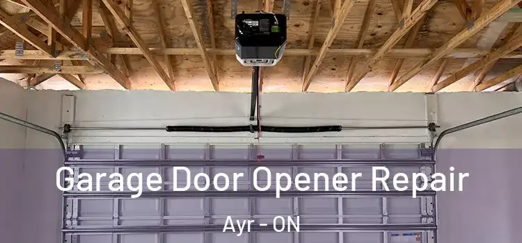  Garage Door Opener Repair Ayr - ON