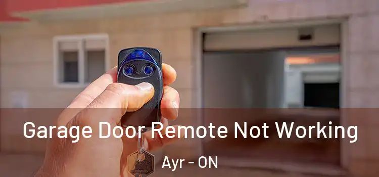  Garage Door Remote Not Working Ayr - ON