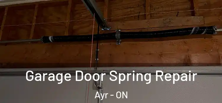  Garage Door Spring Repair Ayr - ON