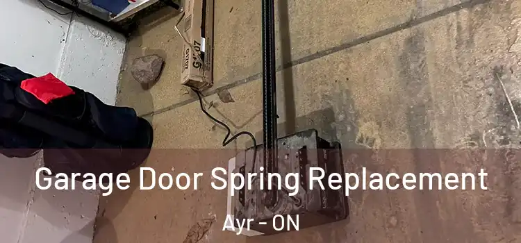  Garage Door Spring Replacement Ayr - ON