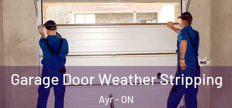  Garage Door Weather Stripping Ayr - ON