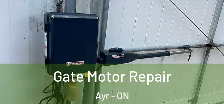 Gate Motor Repair Ayr - ON
