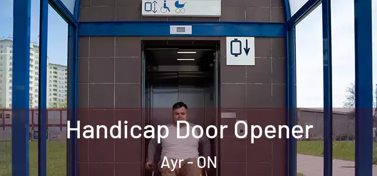 Handicap Door Opener Ayr - ON