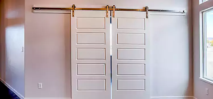 Glass Barn Door with Installation Hardware Kit Ayr