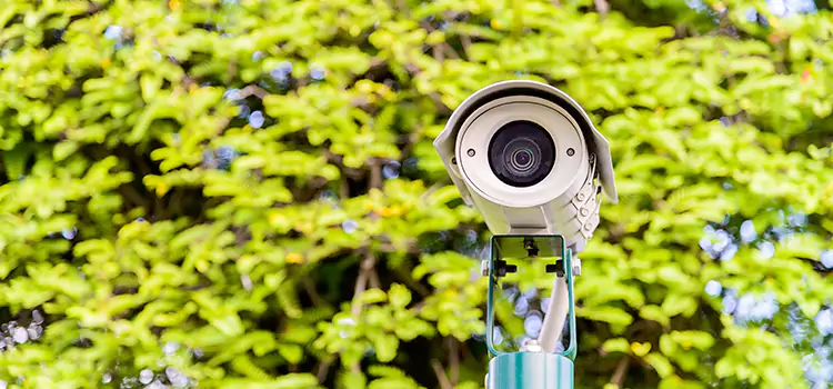 Advanced Surveillance Solutions for Every Need in Ayr
