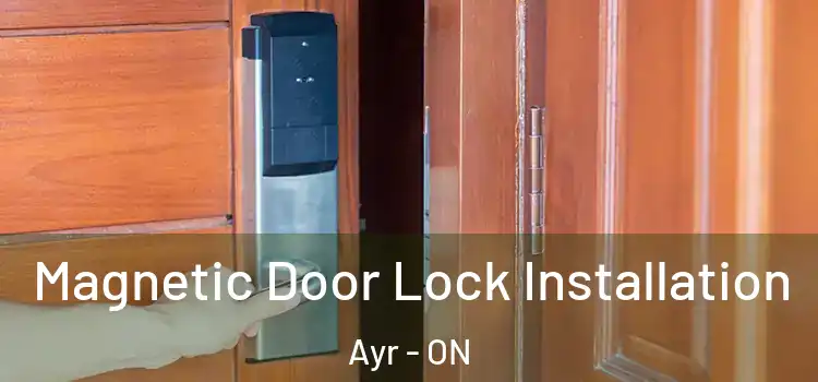  Magnetic Door Lock Installation Ayr - ON