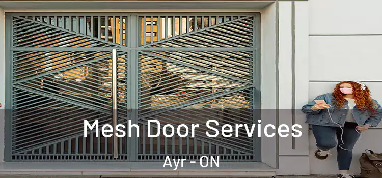  Mesh Door Services Ayr - ON