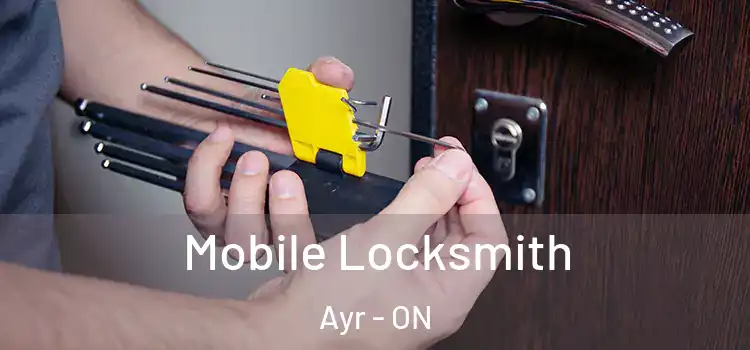  Mobile Locksmith Ayr - ON