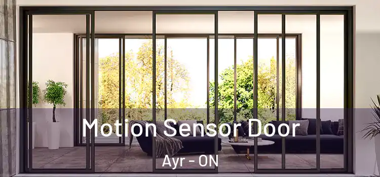  Motion Sensor Door Ayr - ON