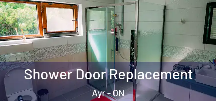 Shower Door Replacement Ayr - ON